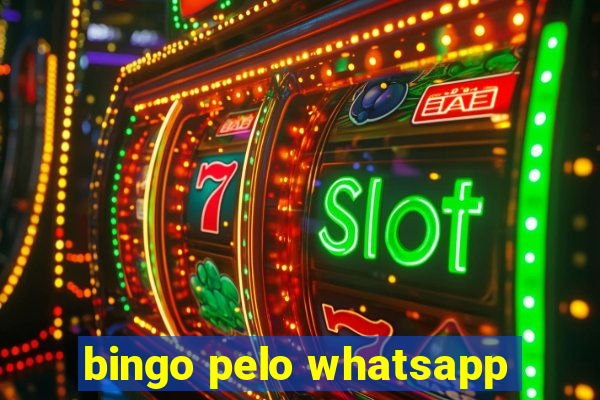 bingo pelo whatsapp